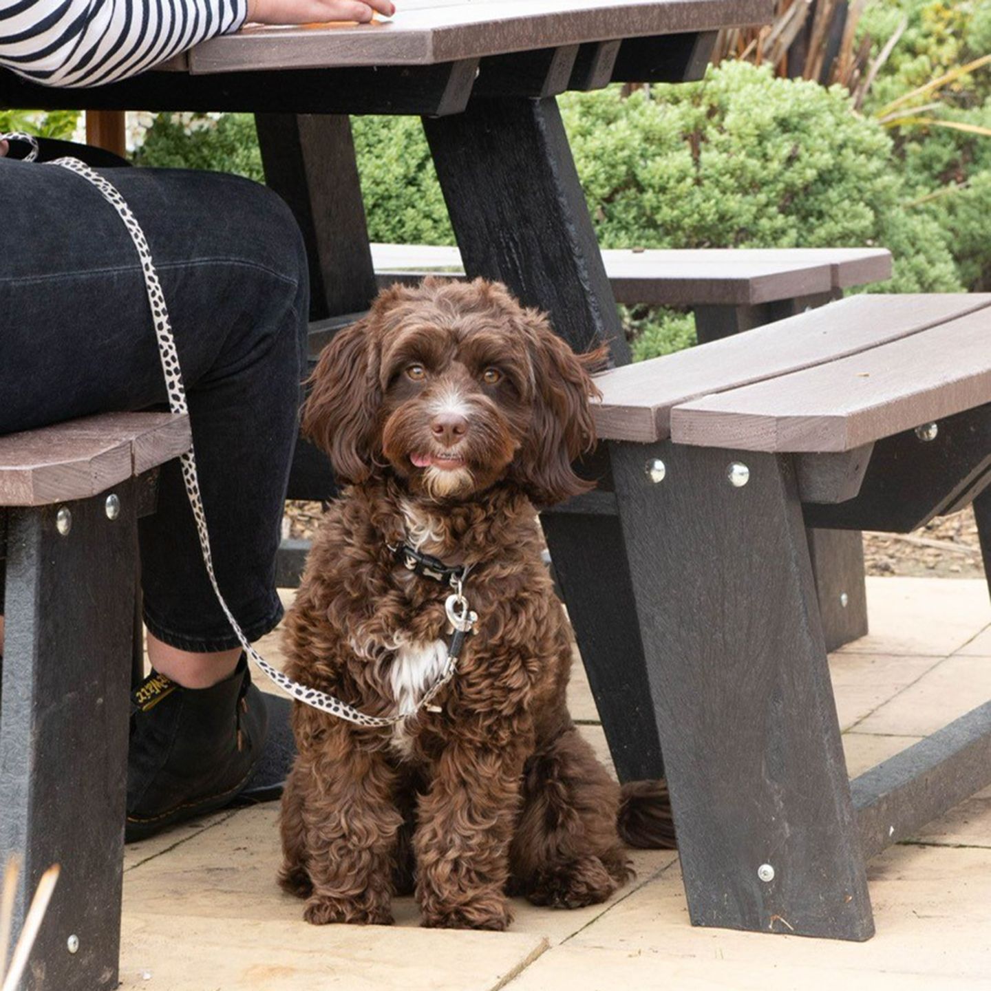Your local dog friendly pub in Nuneaton
